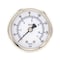 Pic Gauges 2 in Dial, 1/8 in NPT Male Center Back Location, Stainless Steel Case Material PRO-302D-208F-01 - alternate 1